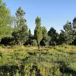La Casita Del Alberche