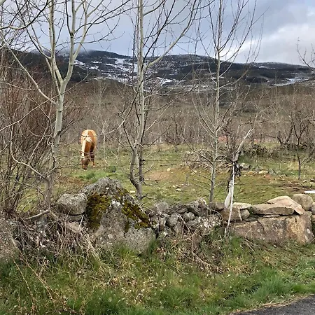 La Casita Del Alberche *