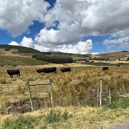 カントリーハウス La Casita Del Alberche