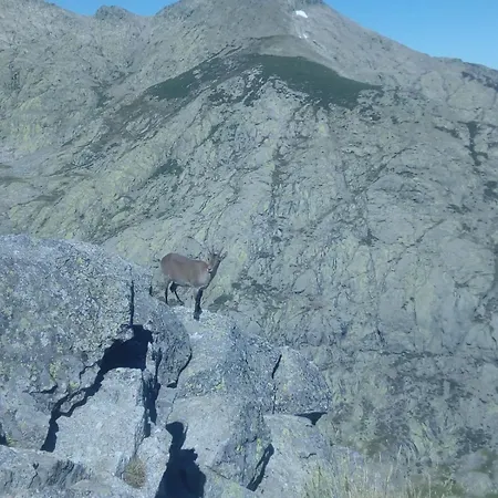 La Casita Del Alberche