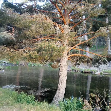 Séjour à la campagne La Casita Del Alberche