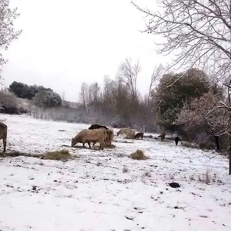 カントリーハウス La Casita Del Alberche San Martín de la Vega del Alberche