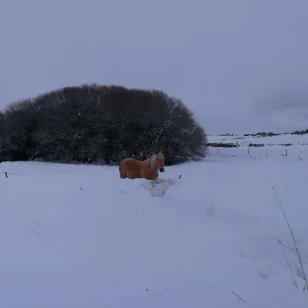 La Casita Del Alberche