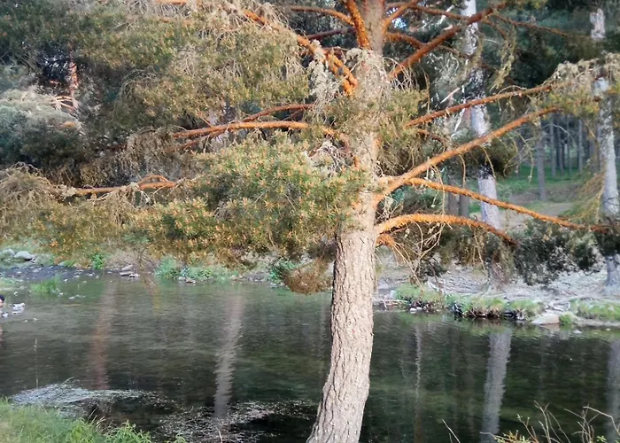 乡村民宿 La Casita Del Alberche