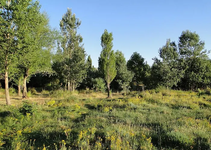 La Casita Del Alberche