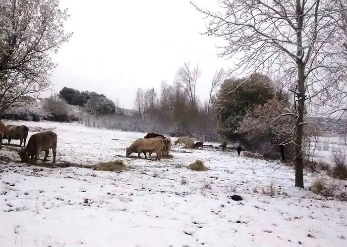乡村民宿 La Casita Del Alberche San Martin de la Vega del Alberche