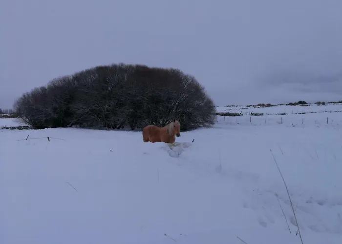 La Casita Del Alberche